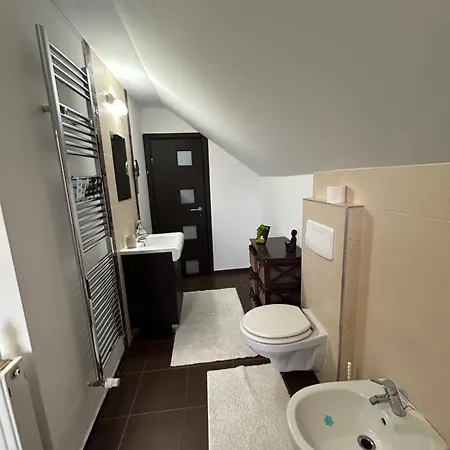 Apartment Vik's Sighisoara