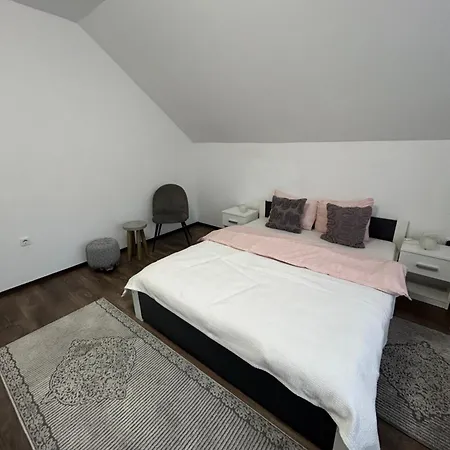 Apartment Vik's Sighisoara